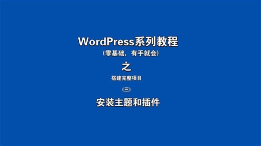 Wordpress搭建完整项目(三)安装主题和插件-17