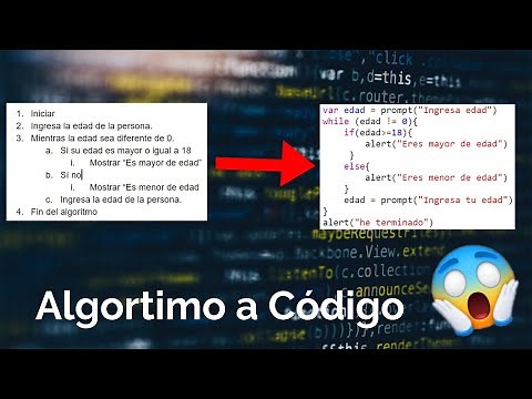 como pasar tu ALGORITMO a CÓDIGO [1] |Curso de programación básica - #07