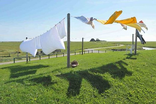 Does Bamboo Shrink? How to Wash Bamboo Without Ruining It