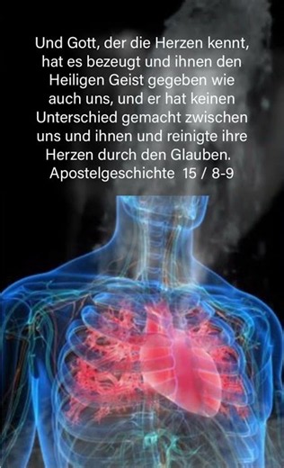Die Bibel : Apostelgeschichte 15/8-9