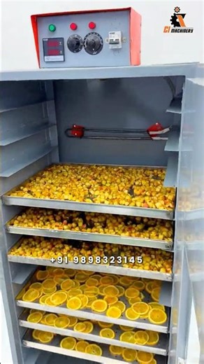🍊 Fruits Tray Dryer Machine | Commercial Fruit Drying Machine India | Food Dehydrator Machine