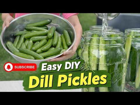 Easy DIY Dill Pickles