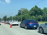 Video: Lines to food banks in Florida stretch over a mile | Daily Mail Online