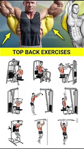 Back workout at gym | Back workout with dumbbells | back workout at home