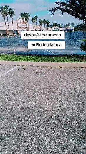 Juan 502 (@juanelias880)’s videos with sonido original - Tutorial🎹✅️