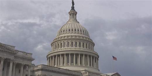 Brandon Brown launches campaign for Senate race