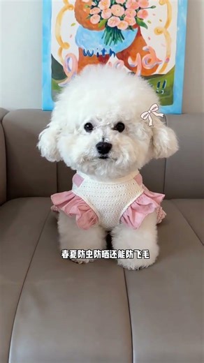 Versatile Mesh Flying Sleeve Dress: Unisex Style for All