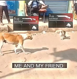 6.3M views · 71K reactions | FreeFire Funny Video  #freefiremax #freefirefunnyreels #sujongamerlive #freefireattutedvideo #freefirebooyha #indiafreefireofficial #freefirebangladash #freefirefunnyvideo #bdfreefire SUJON GAMER Live | SUJON GAMER Live | Facebook