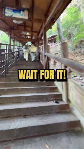 Exploring Avatar Land in China: A Dream Come True