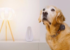 Findster Home pet GPS tracker