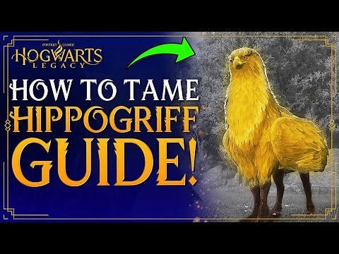Hogwarts Legacy - How To Tame HIPPOGRIFF - How To Get / Catch Hippogriff - Hippogriff Location Guide