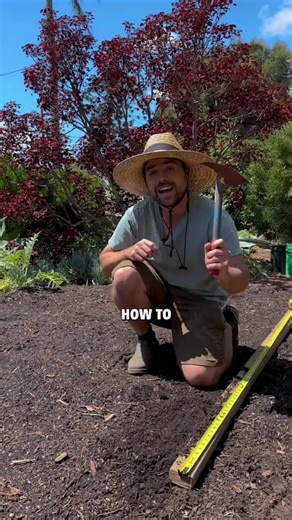 Grow more food with less space in your home #garden using the three sisters method of companion planting! | Jacquesinthe garden