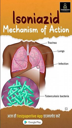 Isoniazid: Mechanism of Action | Anti-TB Drugs #testpaperlive #isoniazid #tb #drugs #shortvideo