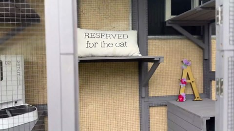 Cat House Large Window Catio Outdoor Cat Enclosure Kitty Shlter with Waterproof Cover,Cat Cages Indoor with Tarp Roof,Platforms,Resting Box