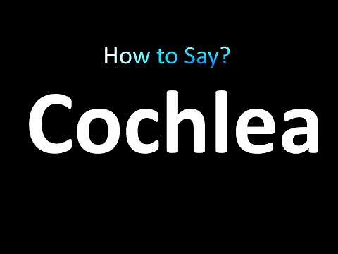 How to Pronounce Cochlea