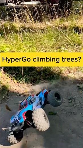 HyperGo 16207 RC Car Climbs Trees & Survives Crashes! 💥🌳