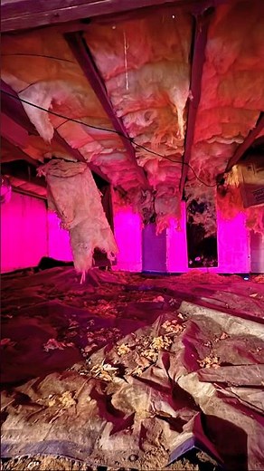 Crawlspace encapsulation