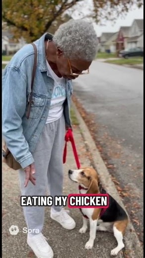 12 Years Together… She’s Not Starting Over 🐾❤️ #agingdogs #dogtips #love