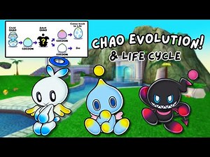 How to get your Chao to Evolve & more! (Sonic Adventure 2: Battle and Sonic Adventure DX)