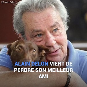 L’acteur Alain Delon venait de perdre un de ses compagnons les plus chers: Mambo, le chien qui est devenu célèbre en France en 2009, a quitté notre monde. L’artiste a appris son histoire tragique, et il a voulu l’aider à aller mieux, il a sorti de l’argent de ses poches et il a demandé à son vétérinaire de confiance de lui rendre visite. Alain Delon a créé une belle relation avec l’animal qui, cependant, n’a pas été le premier: l’acteur a une longue histoire avec la lutte des droits des animaux.