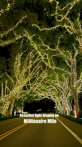 64K views · 11K reactions | Theres a beautiful Free to visit light display that you can drive-thru on Hillsboro Mile also known as Millionaire Mile . 1097 Hillsboro Mile, Hillsboro Beach . This display is up til December 31st . #millionairemile #Florida #SouthFlorida #holidaylights #christmas #familyfriendly #placestogo #fyp #explore | Codie N Drew | Facebook