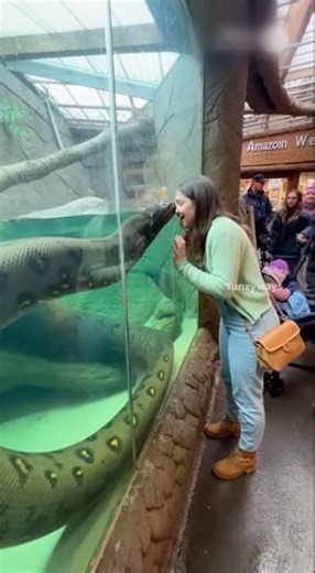 Giant snake attack woman by surprise!