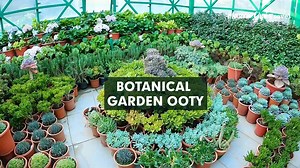 68K views · 387 reactions | ಸ್ವಲ್ಪ ಬೋರಿಂಗ್ Botanical Garden in Ooty Botanical Garden Ooty is also called as Government Botanical Garden located in the heart of Ooty city. It is one among the top Tourist Places in Ooty. If you have free time you can visit this place. If you have other places to cover you can keep this as option. #botanical #travel #garden #ooty | Masala Chai Media | Facebook