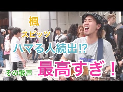 【この歌声にハマる人続出⁉︎】気持ちのこもった歌声が最高すぎる！！楓/スピッツ（福田賢太 06.08 新宿路上ライブ）