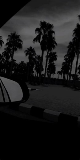 Stunning Views from a Vehicle Side Mirror