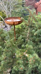 Add charm, calm, and gentle movement to your garden with our Rustic Metal Bird Bath / Rain Catcher 🐦🌿 This handcrafted piece becomes a beautiful focal point in garden compositions, bringing a cozy, romantic feel to your backyard, terrace, patio, or home entrance. Made from natural metal with an authentic rust patina, it blends effortlessly into nature while adding sculptural elegance. Designed for year-round outdoor use, this bird bath is resistant to rain, sun, and changing seasons. Each piec