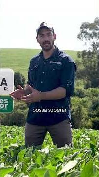 Lançamento Batalha CE #soja #cultivarsoja #agro #agronegocio