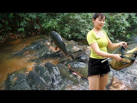 I Caught the Biggest Fish in the Forest | Using Fishing Techniques and Building Fish Traps