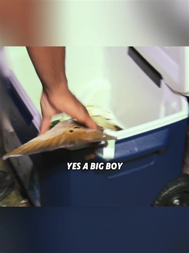 Texas Game Warden vs Wildlife: What Happens When Police Respond