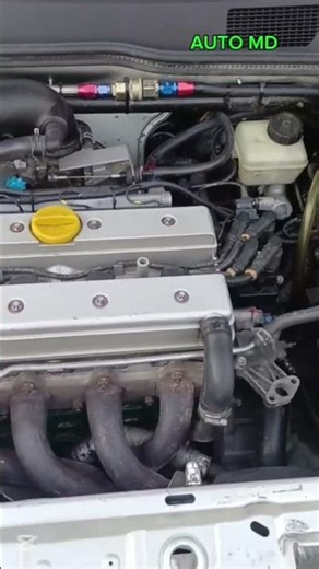 COSA TROVIAMO SOTTO IL COFANO DI UNA AUTO PER CORSA