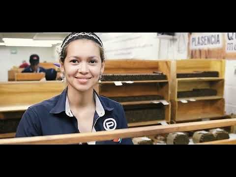 From Seed to Smoke: Exploring the Entire Cigar Making Process with Cigar Conexion INDIA