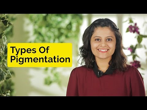 Types Of Skin Pigmentation | Skin Diaries