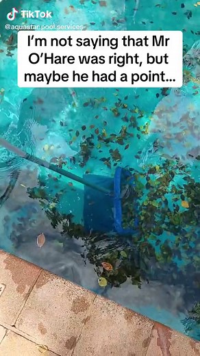 The Lorax: Let it Die and Let it Shrink! #trees #lumberjack #aquastarpoolservices