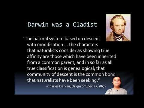 Phenetics vs. Cladistics: Introduction to Phylogenetics
