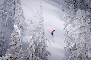 Steeps and Stashes: Glade Skiing at Diamond Peak