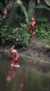 Ultimate Fake Tiger Scary Prank - Funny Prank! #funnyvideos | Scaring video