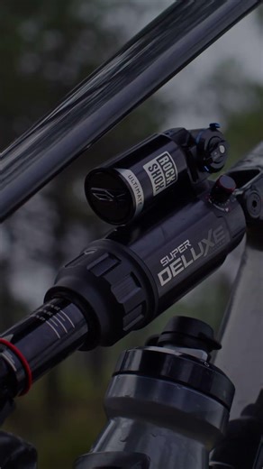 All-New Super Deluxe & Vivid