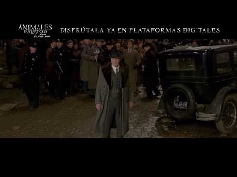 Animales Fantásticos y Dónde Encontrarlos - Spot "Insecto” Plataformas digitales – Castellano HD