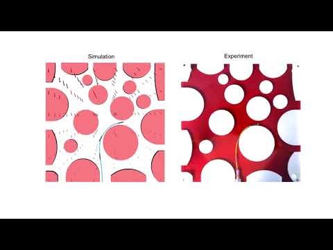 A Simulation Framework for Magnetic Continuum Robots