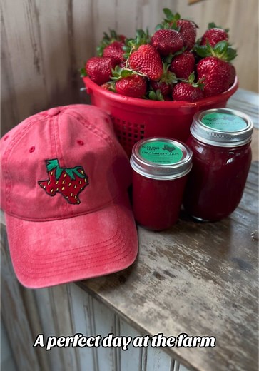 Visiting Pecan Creek Strawberry Farm: A Perfect Day