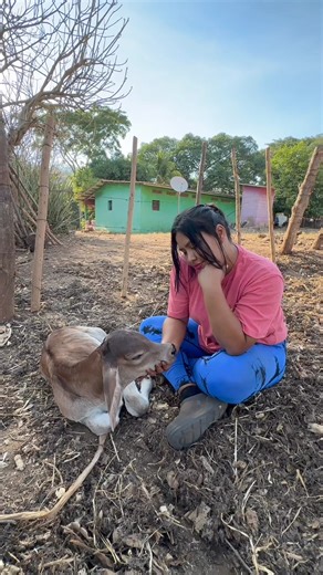 15K views · 218 reactions | La bendición es tener vida y saberla vivir  | Rocío Hernández | Facebook