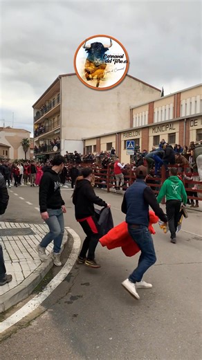 🟠 TORO DE SAN SEBASTIÁN 2026| Primer toro de @torosdebrazuelas #ciudadrodrigo #toros #carnavaldeltoro #carnaval #carnavales | carnavaldeltoro.es