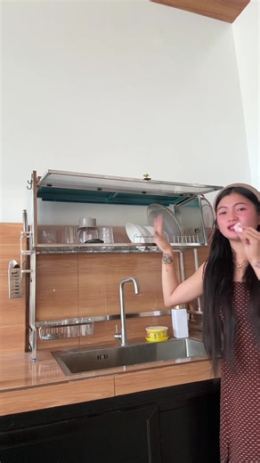 Stainless Steel Dish Rack with Cover | Organizer
