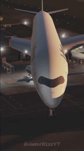 this edit was better in my mind #projectflight #aviation #ptfs #flightsimulator #flightsimulators