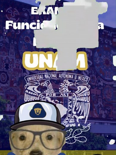 Funciones de la Lengua en la UNAM
