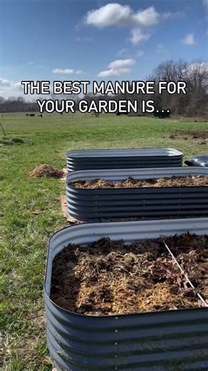The best manure to use in your garden depends on the specific needs of your plants and soil. Recommend testing your soil to know which manure would be most beneficial! 🐰 Rabbit manure: is considered one of the best types of manure for gardening as it is high in nutrients and can be used directly in the garden without composting. 🤩 🐓Chicken manure: is very high in nitrogen and can be a potent fertilizer. However, it should be composted before use to avoid burning your plants. 🦬 Bison manure: 